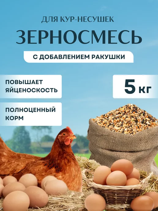 Какой корм лучше подходит для кур-несушек: гранулы или крупка?