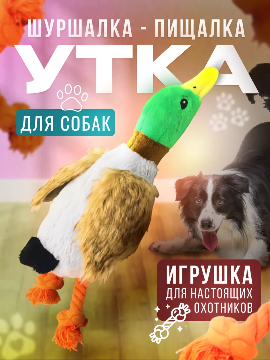 Мягкая интерактивная игрушка для собак с пищалкой утка Игрушки для  животных01 купить по цене 12,12 р. в интернет-магазине Wildberries в  Беларуси | 205830053