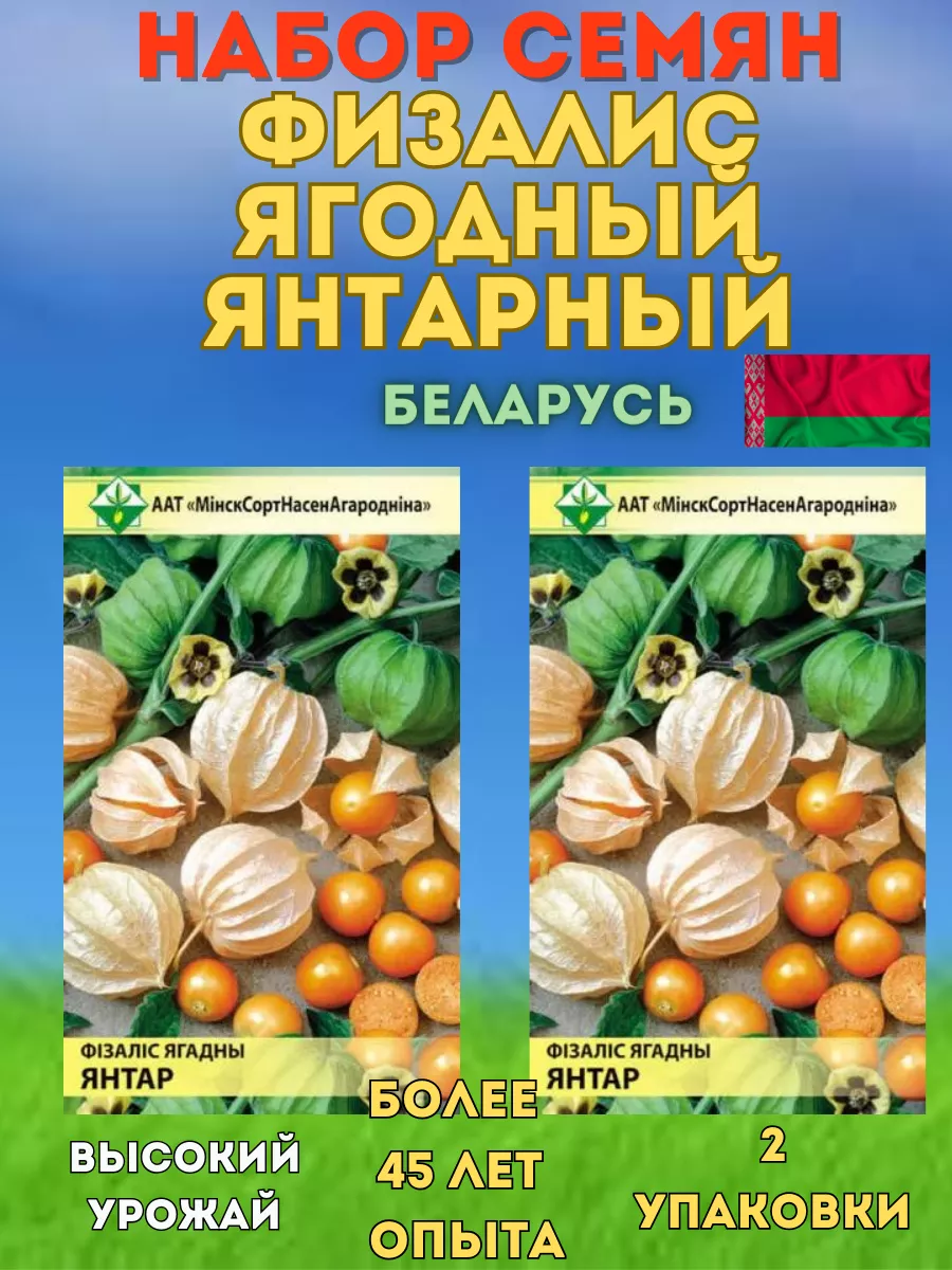 Физалис ягодный семена МинскСортСемОвощ купить по цене 12,22 р. в  интернет-магазине Wildberries в Беларуси | 206590802