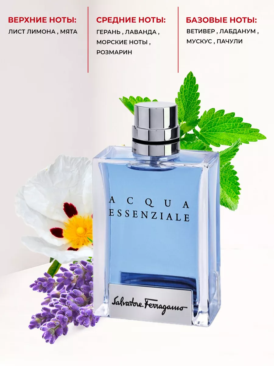 Acqua Essenziale 50 Salvatore Ferragamo Wildberries 206854005