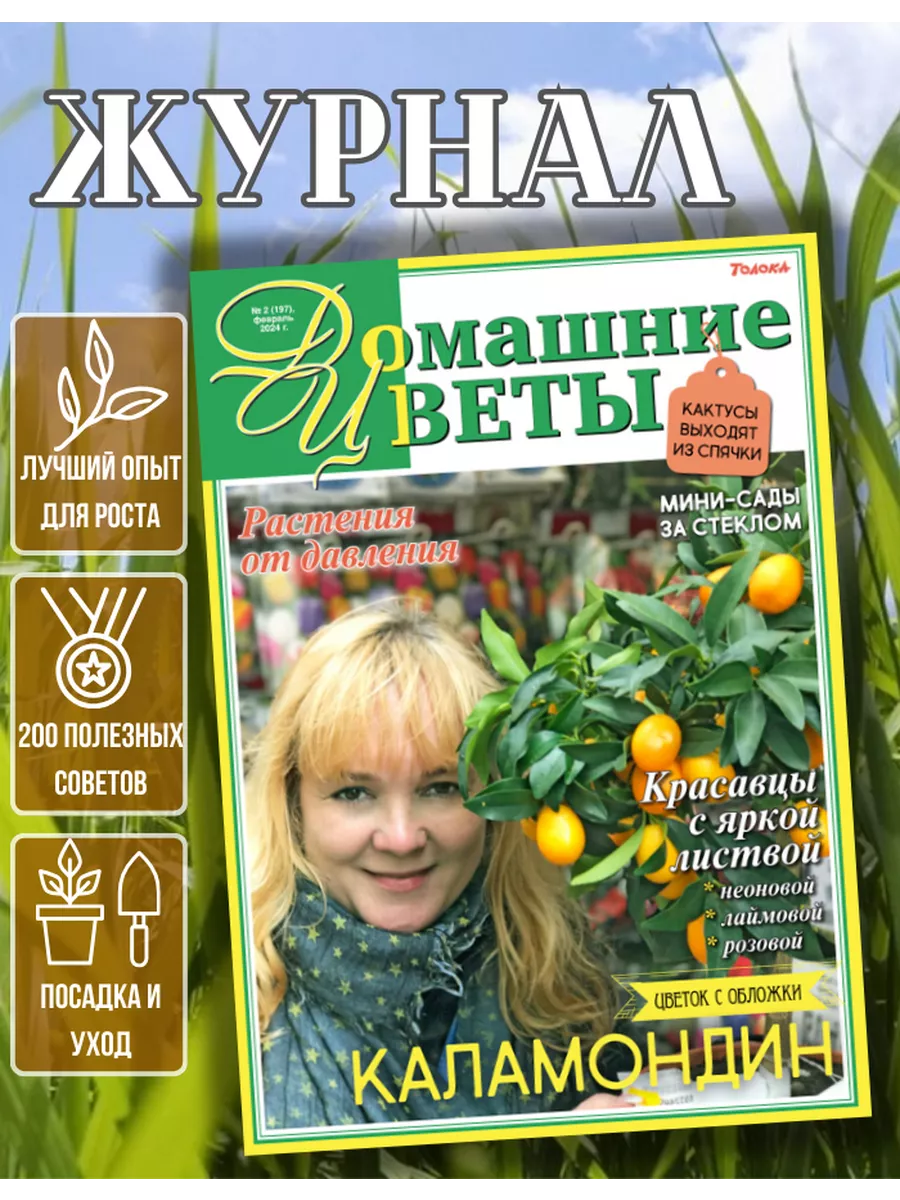 Журнал. Комнатные растения. Каламондин №2 24 Домашние цветы купить по цене  130 ₽ в интернет-магазине Wildberries | 207030435