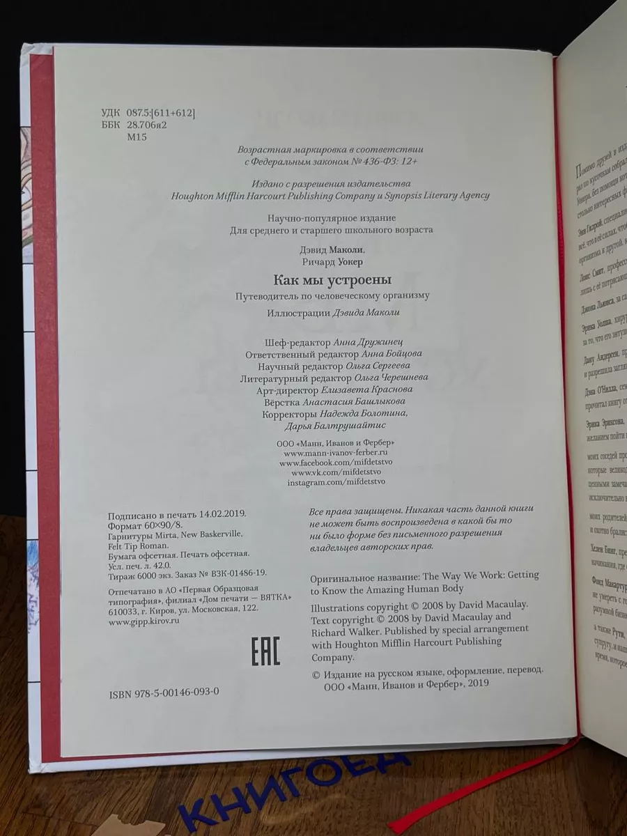 Как мы устроены. Путеводитель по человеческому организму МИФ купить по цене  0 ₽ в интернет-магазине Wildberries | 207893579