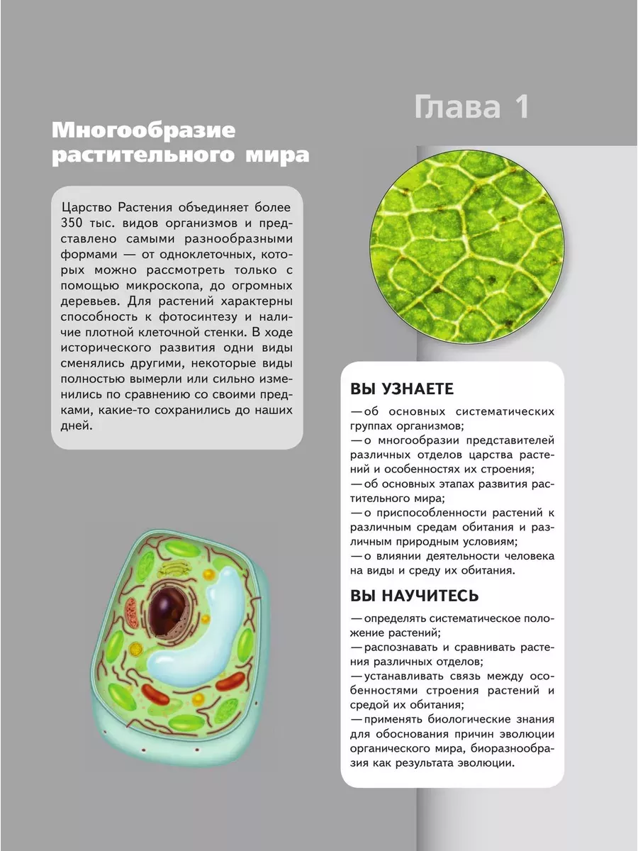 Средняя школа № 41 имени спа-гармония.рфова г. Гродно