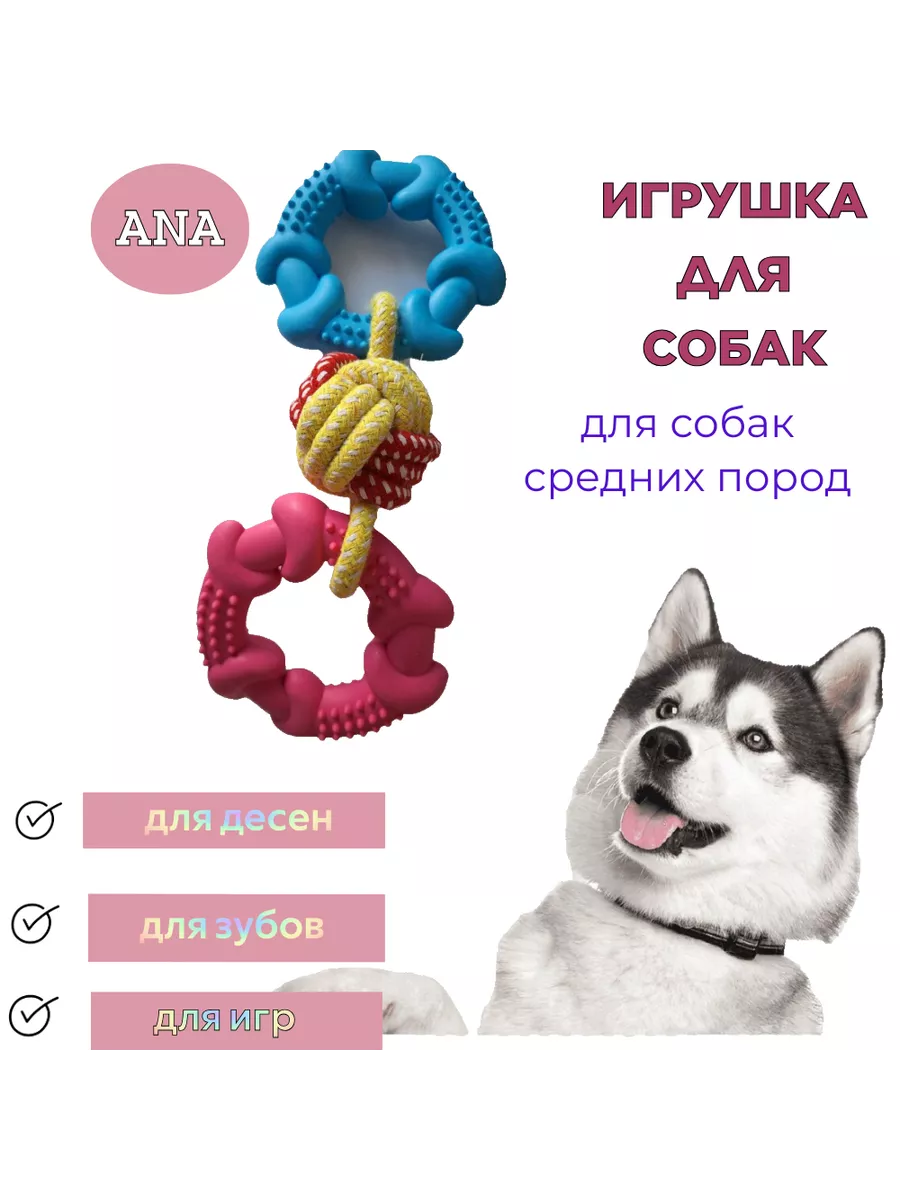 Игрушка для собак кольца AnA купить по цене 750 ₽ в интернет-магазине  Wildberries | 208488998