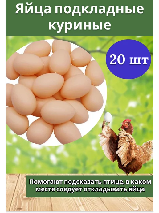 Продажа домашних животных Акмолинская область - курица для яйца