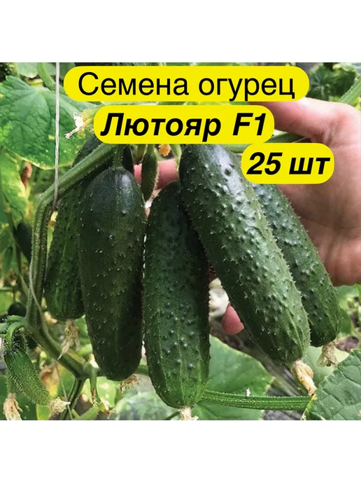 yuksel Семена Огурец Лютояр F1 - 25 шт