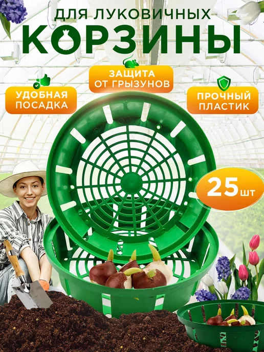 Корзины для луковичных