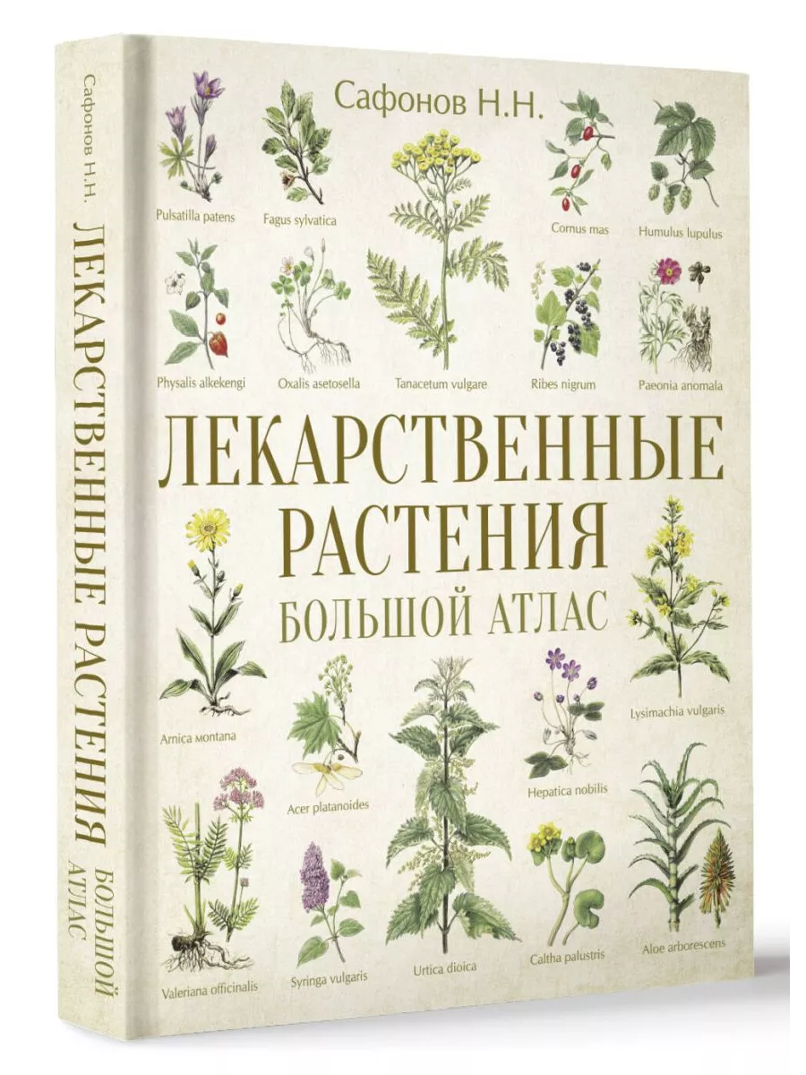 Лекарственные растения. Большой атлас Издательство АСТ купить по цене 1 892  ₽ в интернет-магазине Wildberries | 210979942