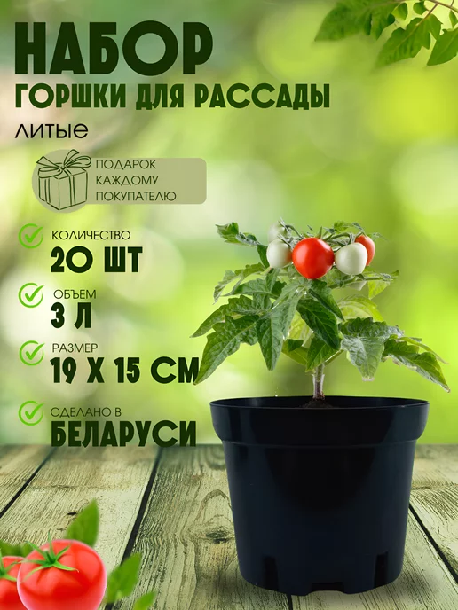 7 способов сделать емкость для рассады своими руками | ОГОРОД, где все растет🌻🌼🍏 | Дзен