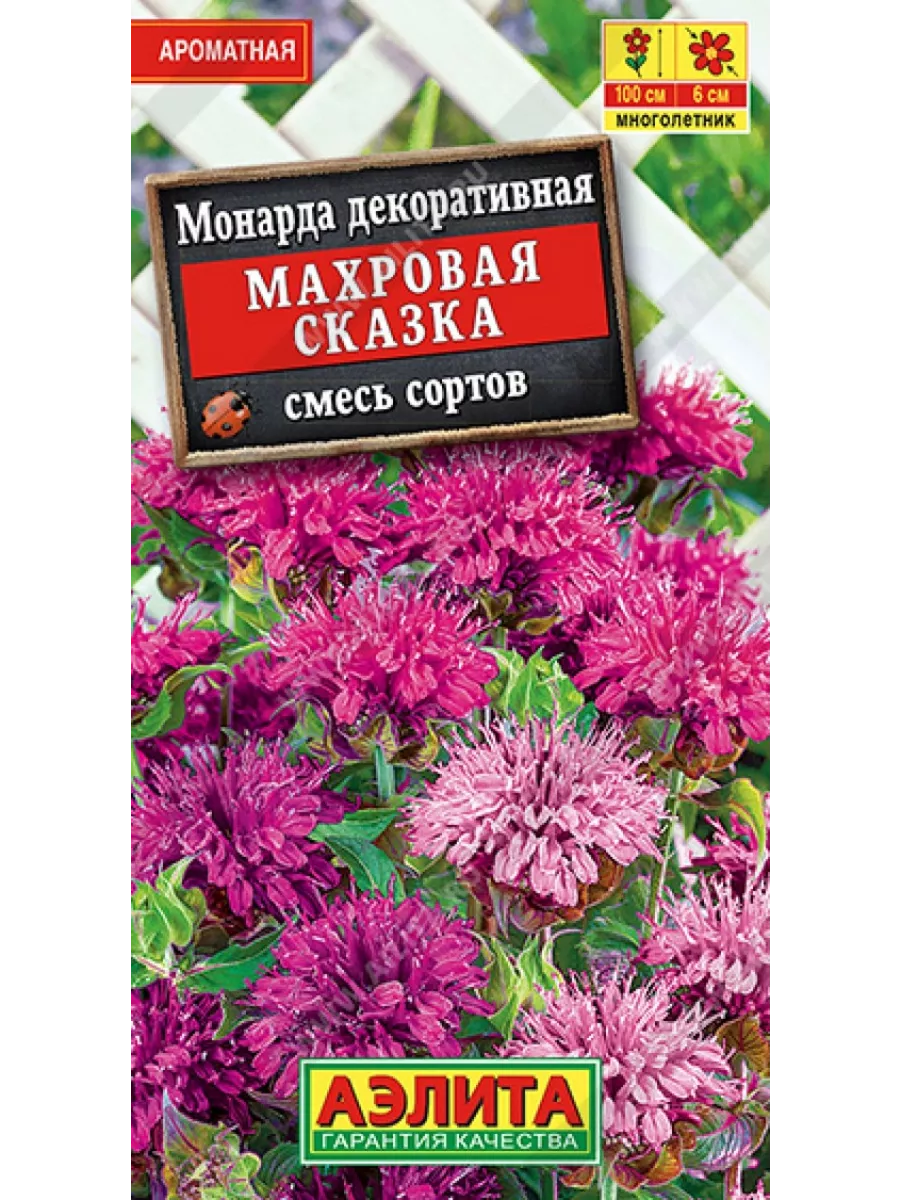 Семена Монарда декоративная Махровая сказка смесь сортов Агрофирма Аэлита  купить по цене 124 ₽ в интернет-магазине Wildberries | 211078346