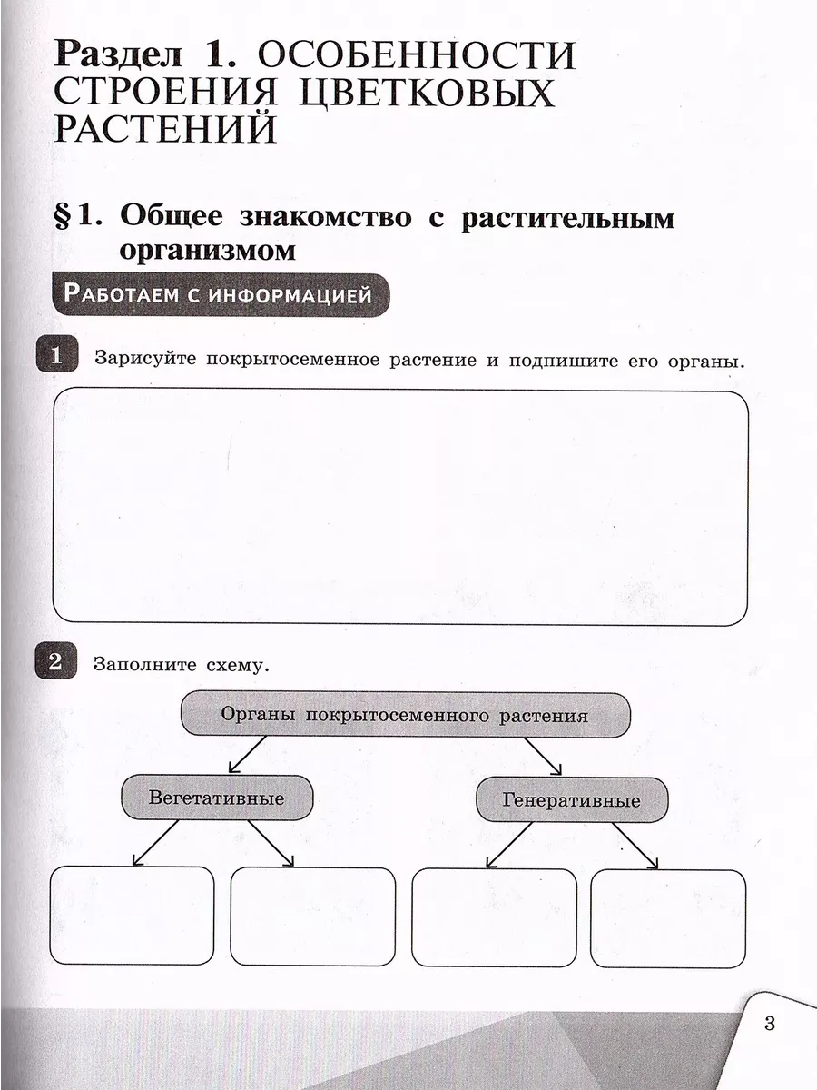 Как сделать клумбу с хвойными деревьями и кустарниками: схемы, уход, плюсы, минусы