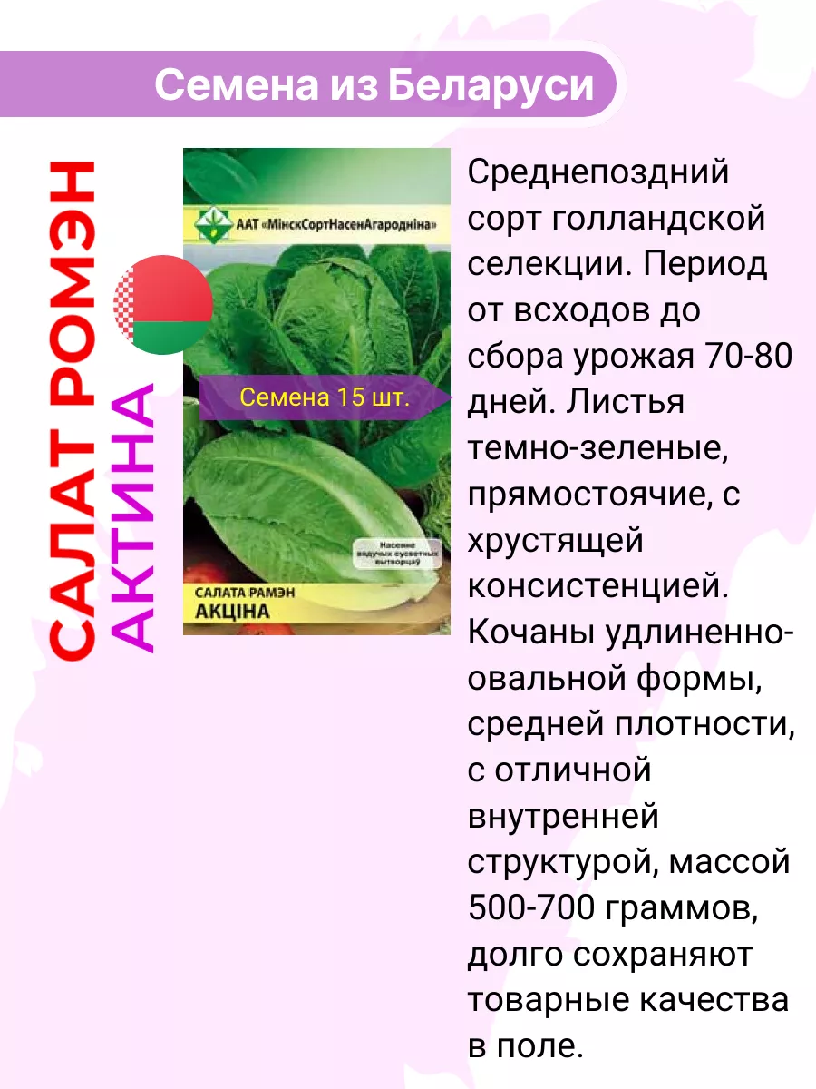 Салат ромэн Актина семена 5уп. по 15шт МССО купить по цене 12,31 р. в  интернет-магазине Wildberries в Беларуси | 211482618