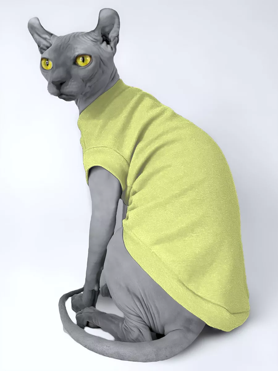 Одежда для кошек: зачем нужка и как приучить кошку к костюмам