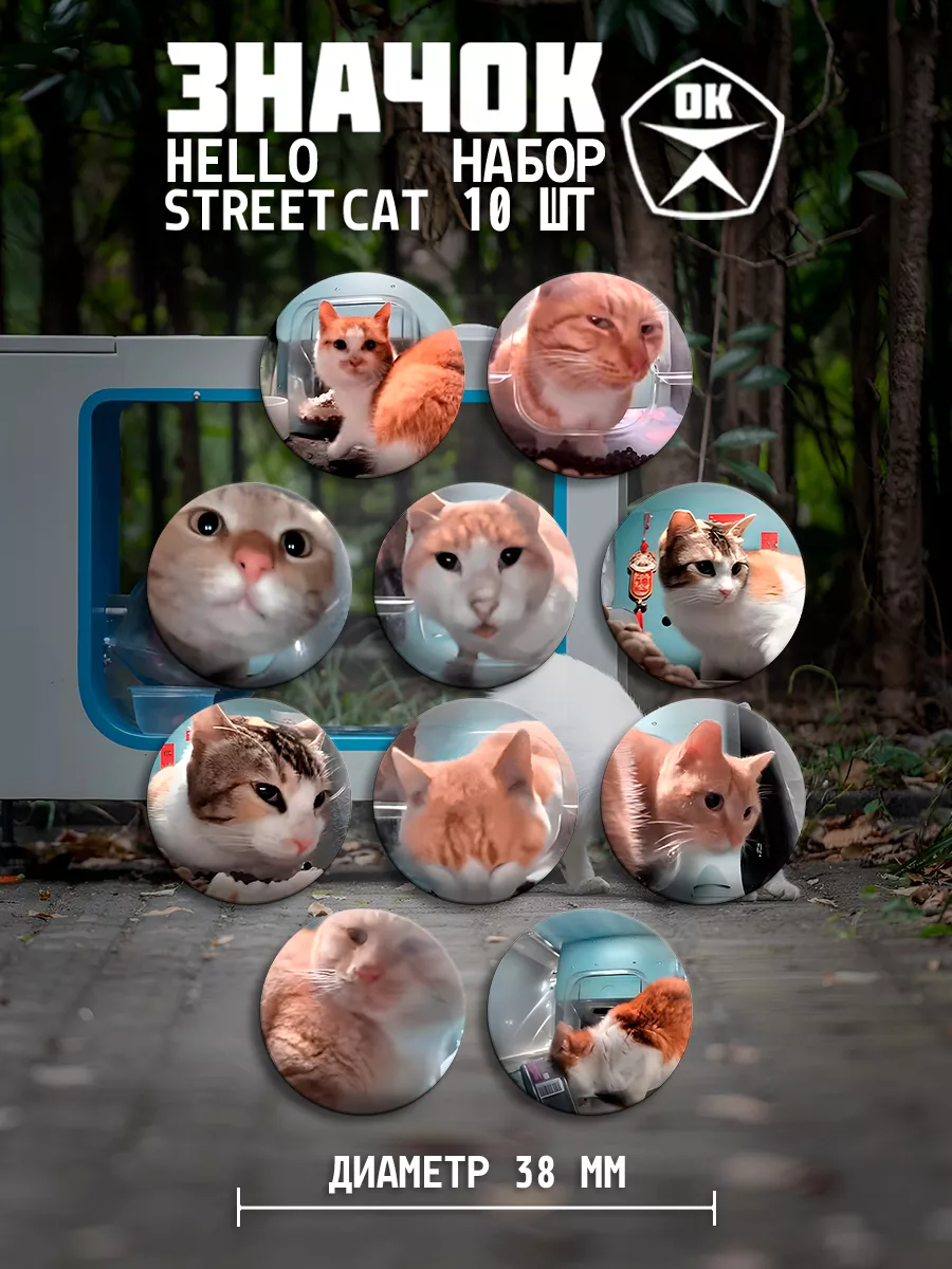 Значки Hello Street Cat ЗначокОк купить по цене 339 ₽ в интернет-магазине  Wildberries | 211835811