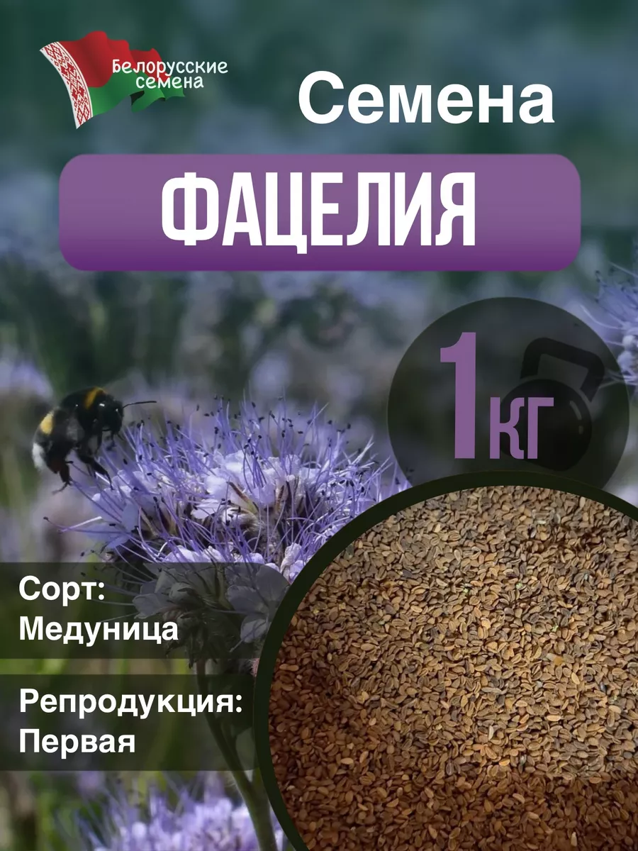 ООО ВЭЛАГРО Сидерат фацелия семена 1кг сорт Медуница