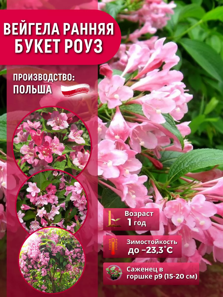 Wildberries — интернет-магазин модной одежды, обуви и аксессуаров