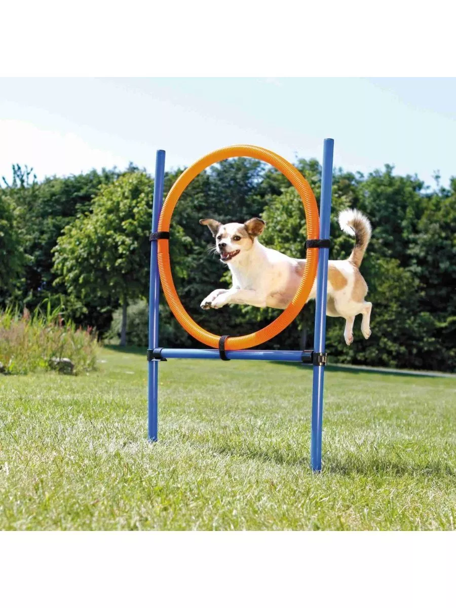 Препятствие для собак Trixie Dog Activity набор из 2 шт оранжево-желтый