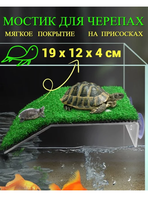 Как просто сделать островок для черепахи?