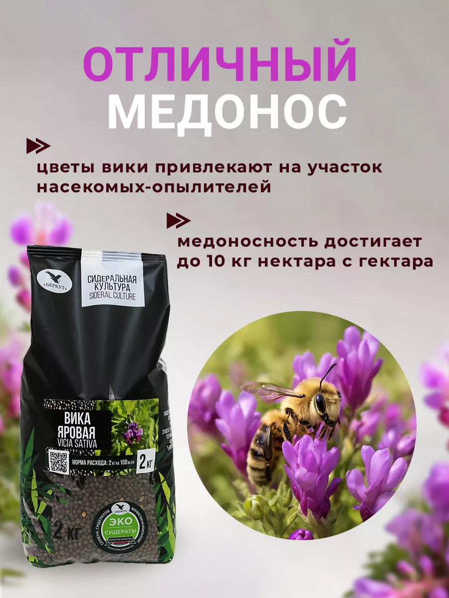 Сидерат Вика яровая 2 кг Беркут 7 трав купить по цене 384 ₽ в  интернет-магазине Wildberries | 213520641