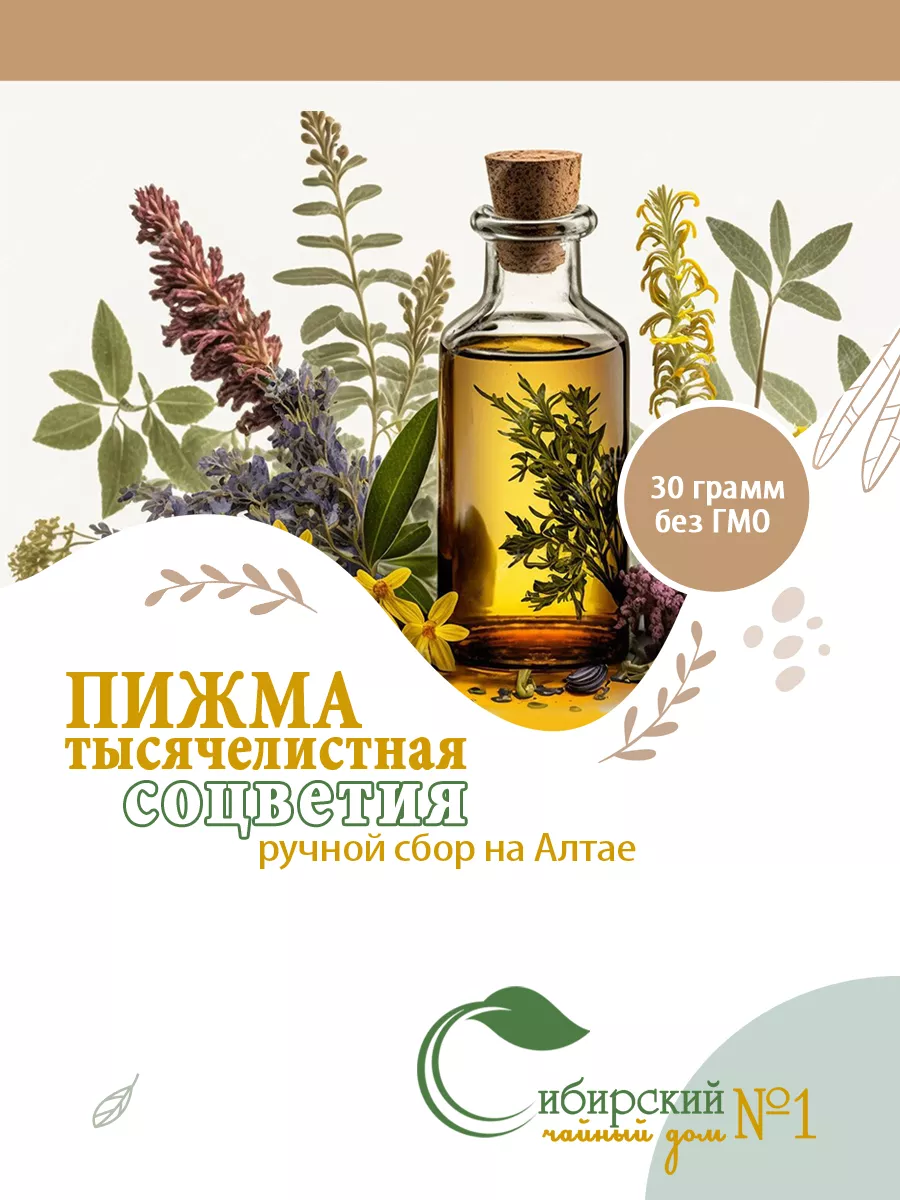 Пижма тысячелистная соцветия купить по цене 192 ₽ в интернет-магазине  Wildberries | 213806928