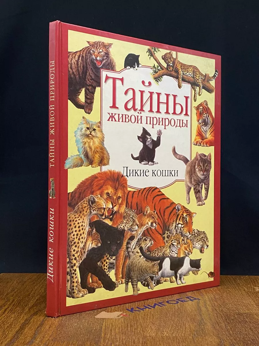 Планета детства Тайны живой природы. Дикие кошки