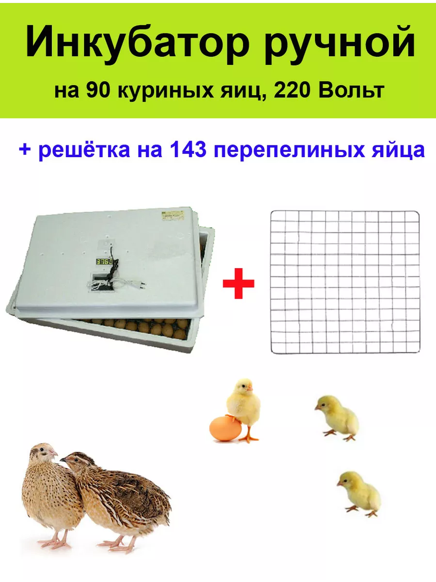 Решетка для перепелиных яиц 260