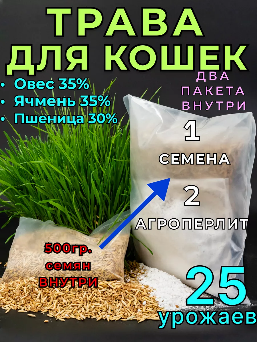 Трава для кошек 500 г с агроперлитом СеменаРус купить по цене 238 ₽ в  интернет-магазине Wildberries | 215846474