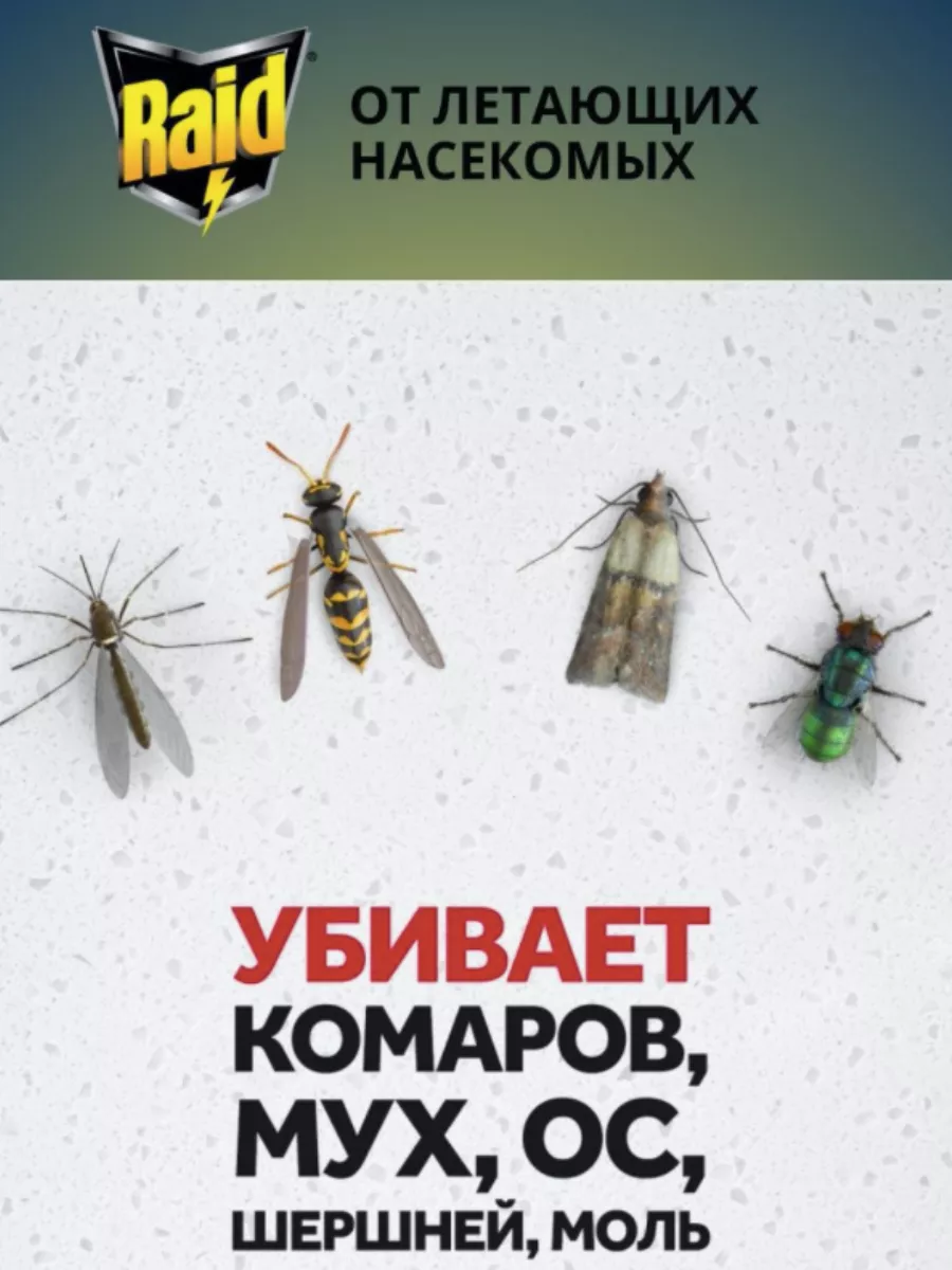 От летающих насекомых 300 мл RAID купить по цене 35,61 р. в  интернет-магазине Wildberries в Беларуси | 215966785