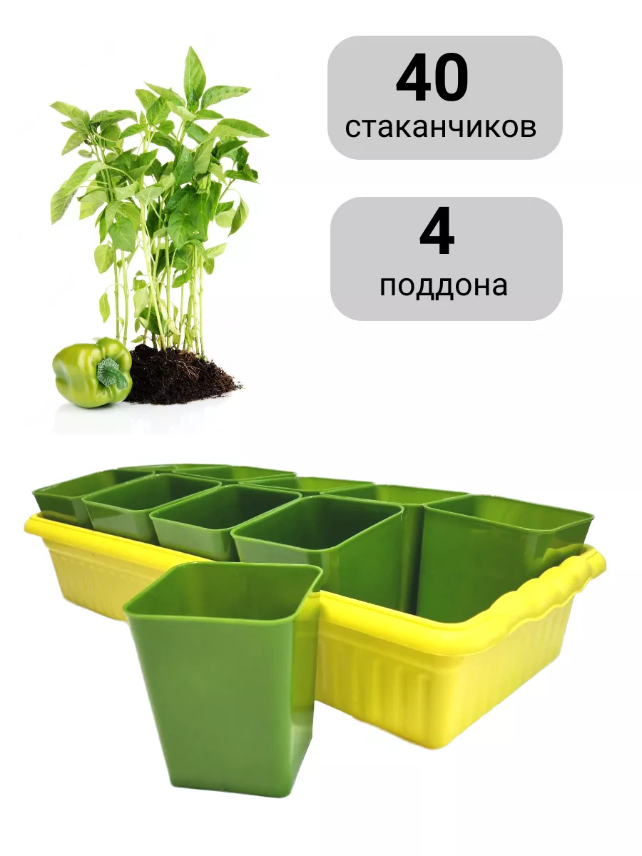 Горшки для рассады и растений с поддоном Огородные дела купить по цене  38,41 р. в интернет-магазине Wildberries в Беларуси | 216479352