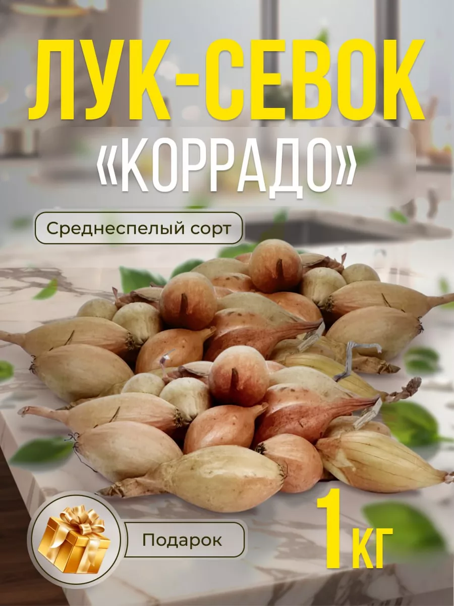 Лук севок Коррадо 1 кг