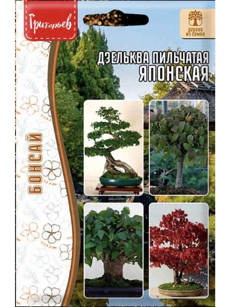 Дзельква Купить Саженцы В Москве