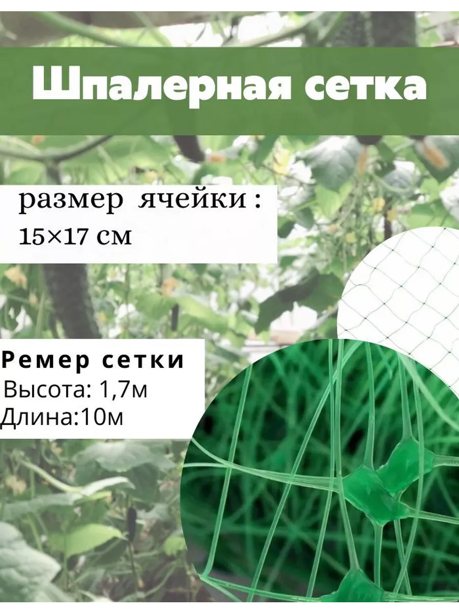 Из чего сделать шпалеру для вьющихся растений: 5 популярных вариантов