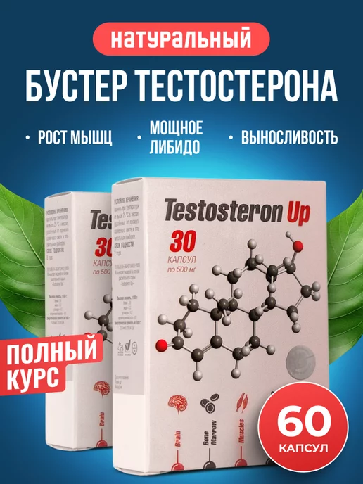 Сашера Testosteron Up. Тестостерон для спорта в капсулах 2 шт